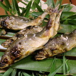 虎屋 壺中庵 - 天然鮎