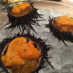 俺のイタリアン 銀座 - 殻付きウニのコンソメジュレ添え980円