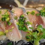 海鮮丹後　あみの食堂 - 鯖のカルパッチョ