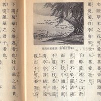 ぼたん - 周頓頤の愛蓮の説この中で牡丹は富貴と言っています。フルクセー本、ゴメンナセー