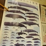 魚屋の台所 下の一色 - 