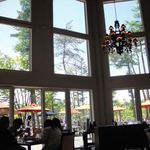 ドッグデプトガーデン - 