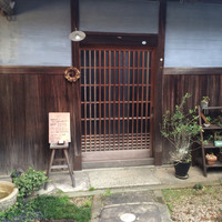 oasi - 