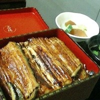 石ばし - 特上鰻重