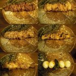 翔ちゃん - (5/19)