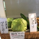 カフェ ド サラン - 地元畑で採れた本当の京野菜を使ってます。2