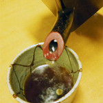 蕎亭 大黒屋 - そば湯