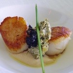 Orchids - ホタテの軽い炙り