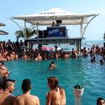 Ark Bar Beach Resort - プールバーは白人だらけ