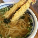 うどん満月 - エビ天うどん