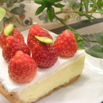 Patisserie Arcturus - 