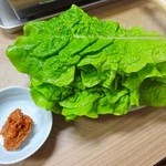 大栄 - サンチュ(2015.5)