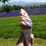 ファーム富田 - 