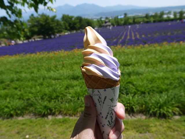 ファーム富田 中富良野 ソフトクリーム 食べログ ファーム富田 中富良野 ソフトクリーム 食べログ