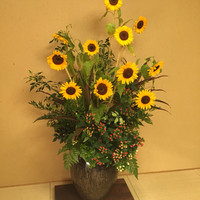 梅の花 本町店 - 
