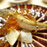 鮨 とかみ - 下は、鰯の酢〆