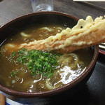 うどん蔵ふじたや - (和)ちく天カレーうどん