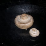 アカツキ - わかりにくい・・・ビッグマッシュルーム！！でかくな～い？