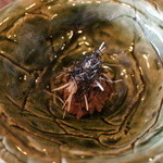 徳山鮓 - 鹿肉胡麻和え