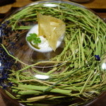 セララバアド - 夏の高原