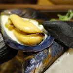 セララバアド - ムール貝のアップ