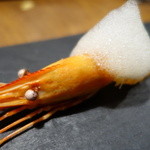 セララバアド - アップです