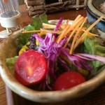 やさい食堂 堀江座 - 野菜サラダも彩りよく
