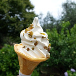 Ushimado Oribu Shoppu - オリーブのソフトクリーム（オリーブの砂糖漬けトッピング）