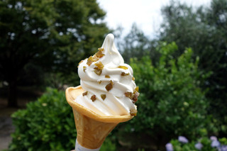 Ushimado Oribu Shoppu - オリーブのソフトクリーム（オリーブの砂糖漬けトッピング）