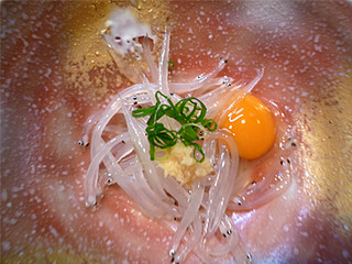 Sasa Sushi - 白魚のお造り