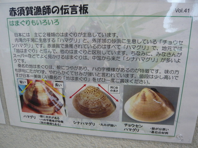 旬は桑名の焼きハマグリ By すーたん王国 はまぐりプラザ 西桑名 郷土料理 その他 食べログ