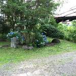 櫻山 - 店内から眺める庭園