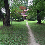 櫻山 - 森の中の小径を進みます