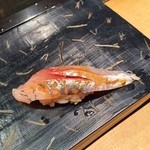 寿司 はせ川 - アジ♪