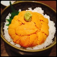 函館うに むらかみ 日本生命札幌ビル店 - うに丼