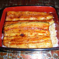 明神下 神田川 本店 - 