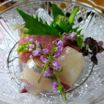 日の出 - 向付け（縞鯵、伊勢鮪、あしらい一式）