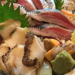 肴の店 枝むら - つぶ貝と鰯のお刺身