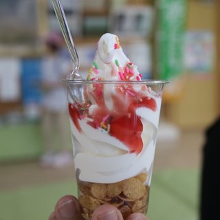 道の駅 桜島 火の島 めぐみ館_1