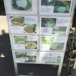 ロッダグループ - 