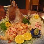 Kisetsu Ryouri Ippuku - ほら貝とメイタガレイの刺身