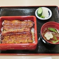満寿家 - うな重特上