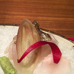 ATAMI せかいえ - 