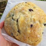 Diamond Head Market & Grill - ブルーベリークリームチーズスコーン