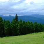 BEAR - 下は曇りでしたが・・・