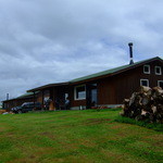 BEAR - forest cafe BEAR 