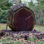 Domaine de la Tortiniere - 