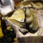 五郎 - 2015年3月ディナー訪問時撮影