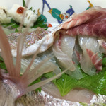 どんまい - 2015.7. 鯛たくさん