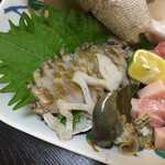 どんまい - 2015.7. あわび